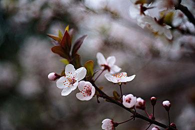 《黑神话：悟空》将支持全景光追+DLSS 3.5技术